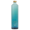 Bouteille Cap Gin, gin